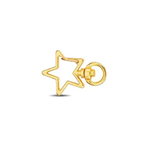 Star-Shaped-Lobster-Clasp